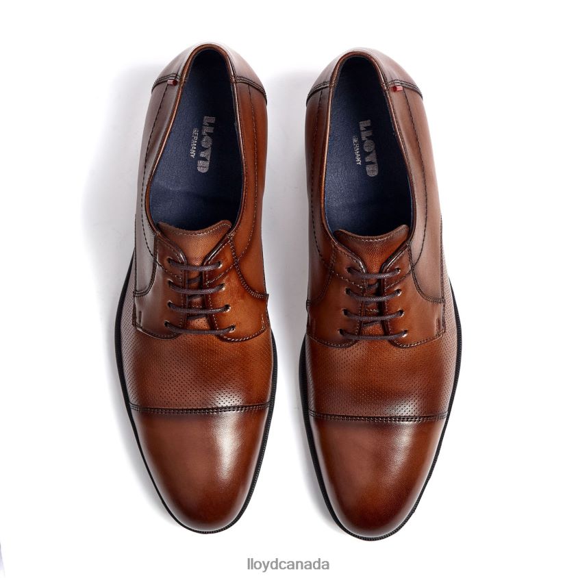 FOLCO LLOYD Men brown R084ZF15 Shoes