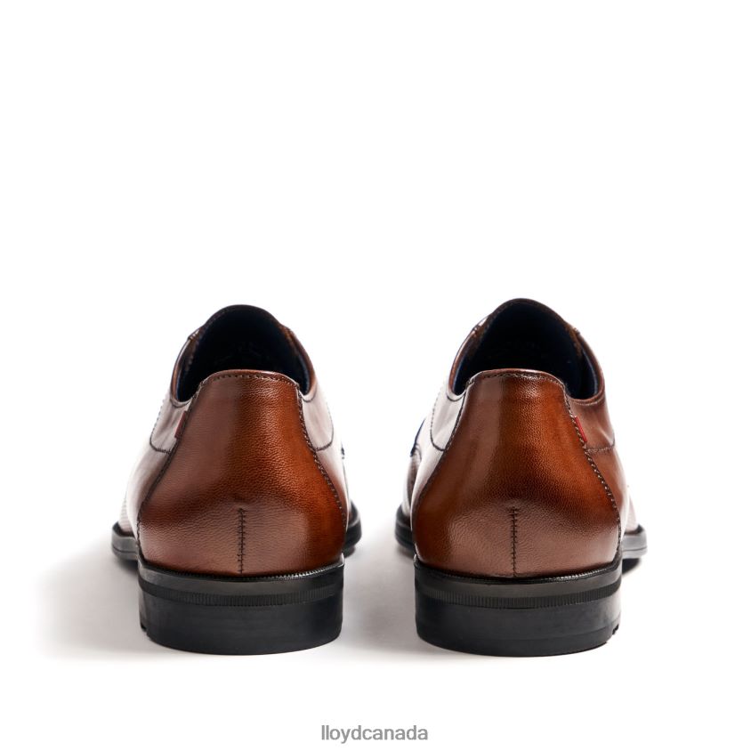 FOLCO LLOYD Men brown R084ZF15 Shoes