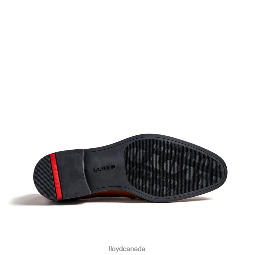 FOLCO LLOYD Men brown R084ZF15 Shoes