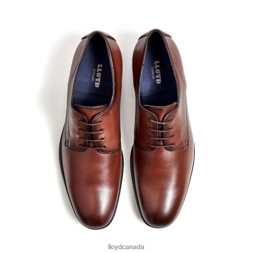 FONDA LLOYD Men brown R084ZF13 Shoes