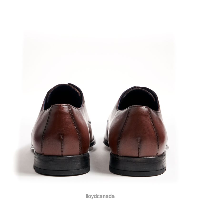 FONDA LLOYD Men brown R084ZF13 Shoes