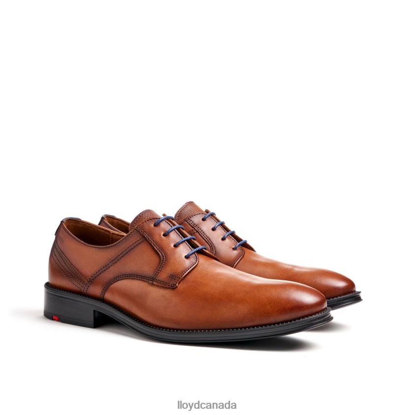 GALA LLOYD Men brown R084ZF102 Shoes