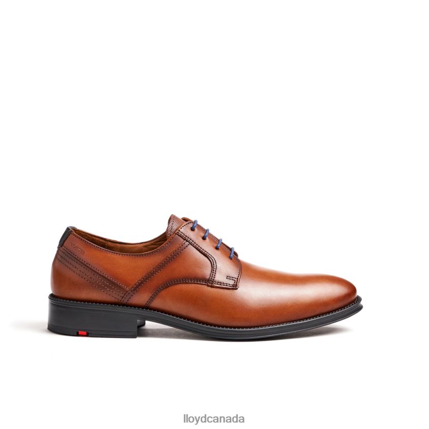 GALA LLOYD Men brown R084ZF102 Shoes