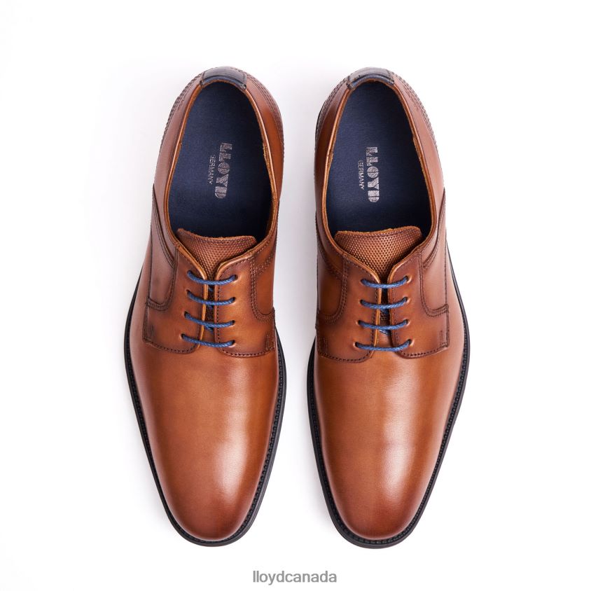 GALA LLOYD Men brown R084ZF102 Shoes