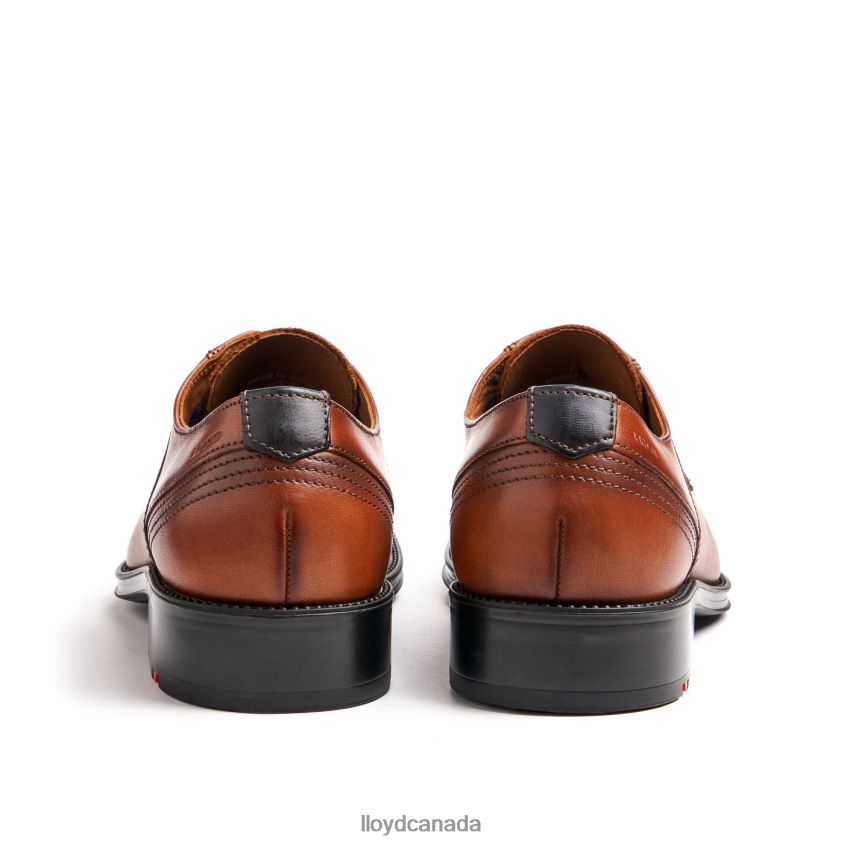 GALA LLOYD Men brown R084ZF102 Shoes