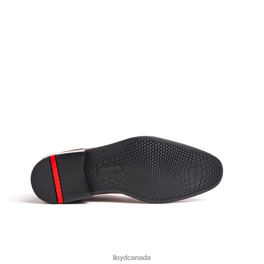GALA LLOYD Men brown R084ZF102 Shoes