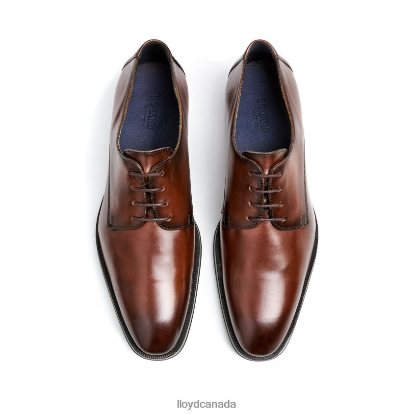 GIDEON LLOYD Men brown R084ZF3 Shoes