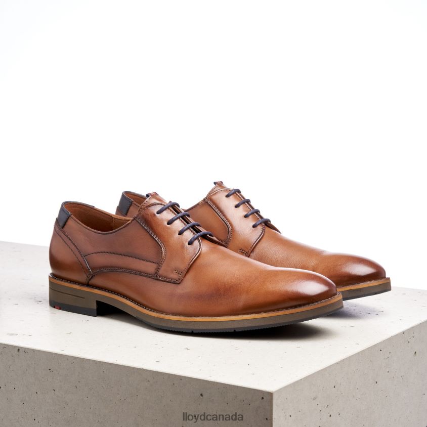 HALDAN LLOYD Men brown R084ZF172 Shoes