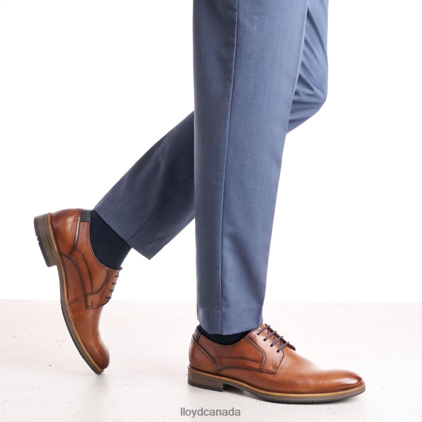 HALDAN LLOYD Men brown R084ZF172 Shoes