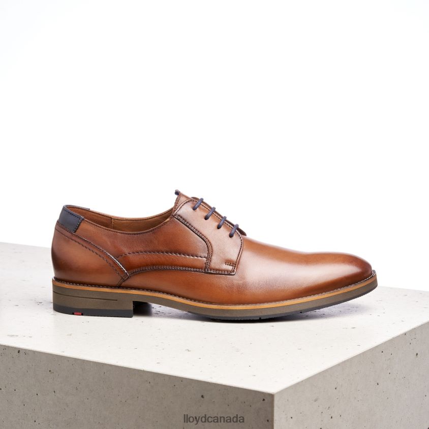 HALDAN LLOYD Men brown R084ZF172 Shoes