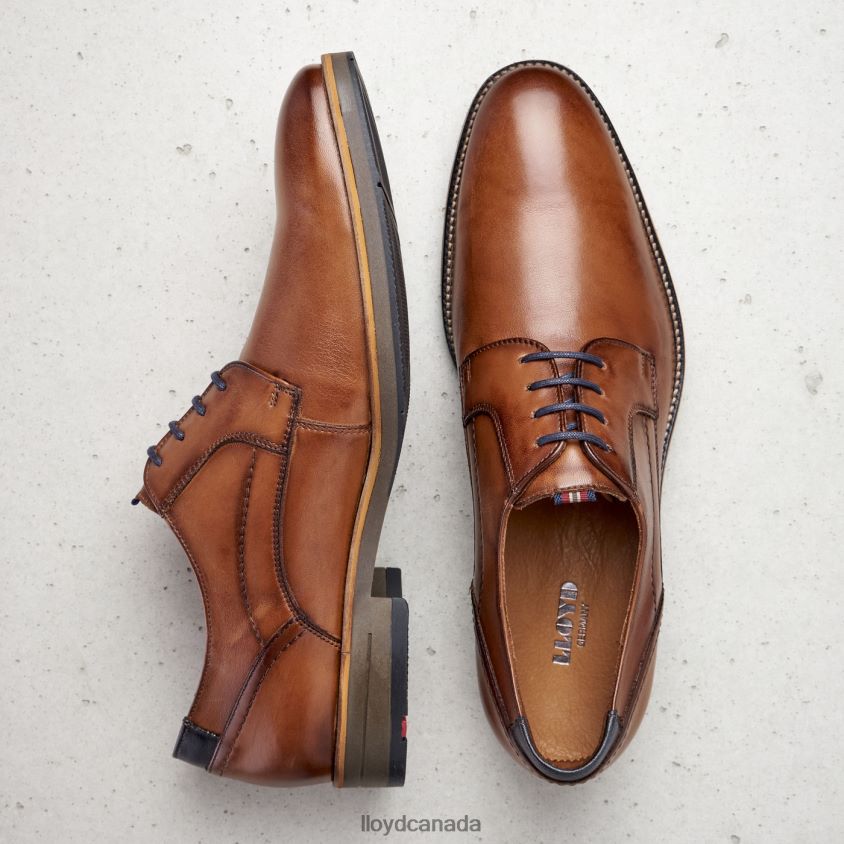 HALDAN LLOYD Men brown R084ZF172 Shoes