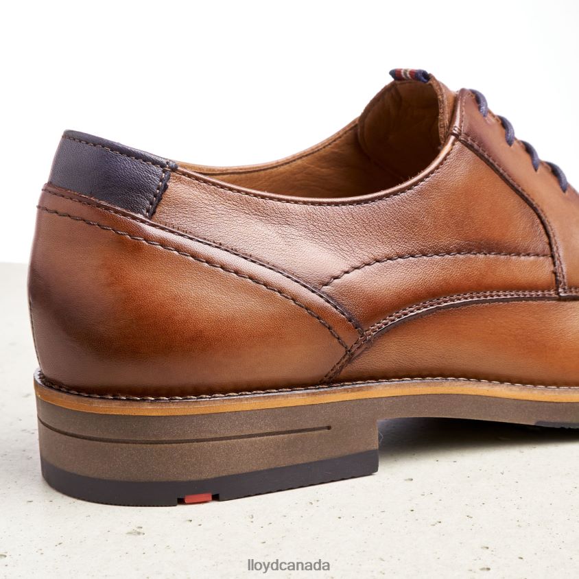 HALDAN LLOYD Men brown R084ZF172 Shoes