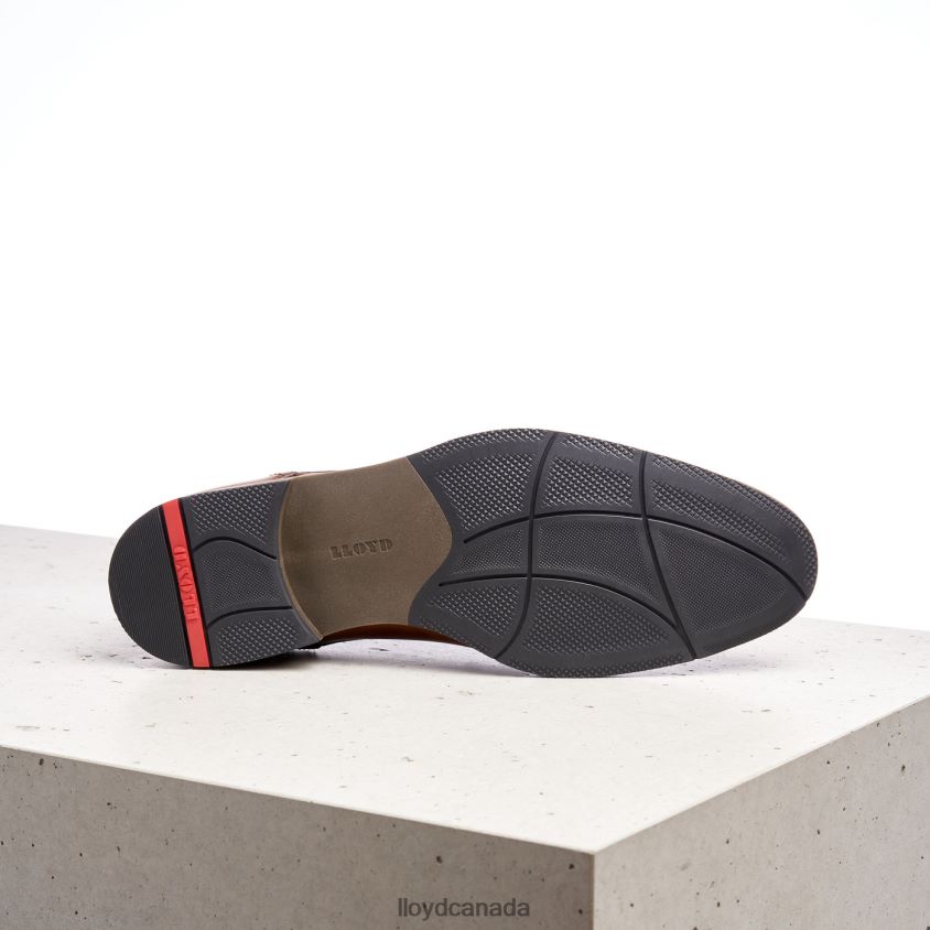 HALDAN LLOYD Men brown R084ZF172 Shoes