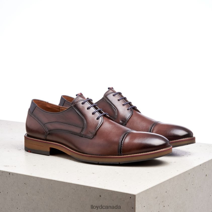 HARPER LLOYD Men brown R084ZF176 Shoes