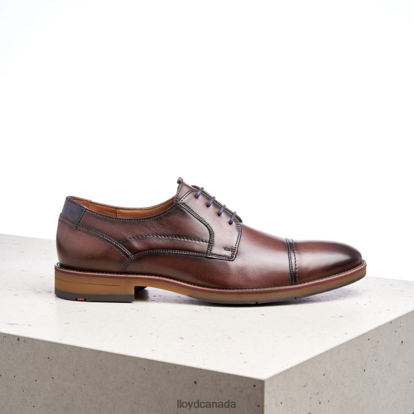 HARPER LLOYD Men brown R084ZF176 Shoes