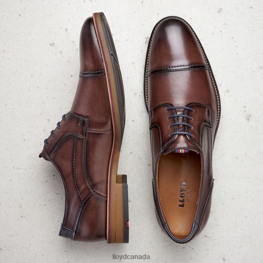 HARPER LLOYD Men brown R084ZF176 Shoes