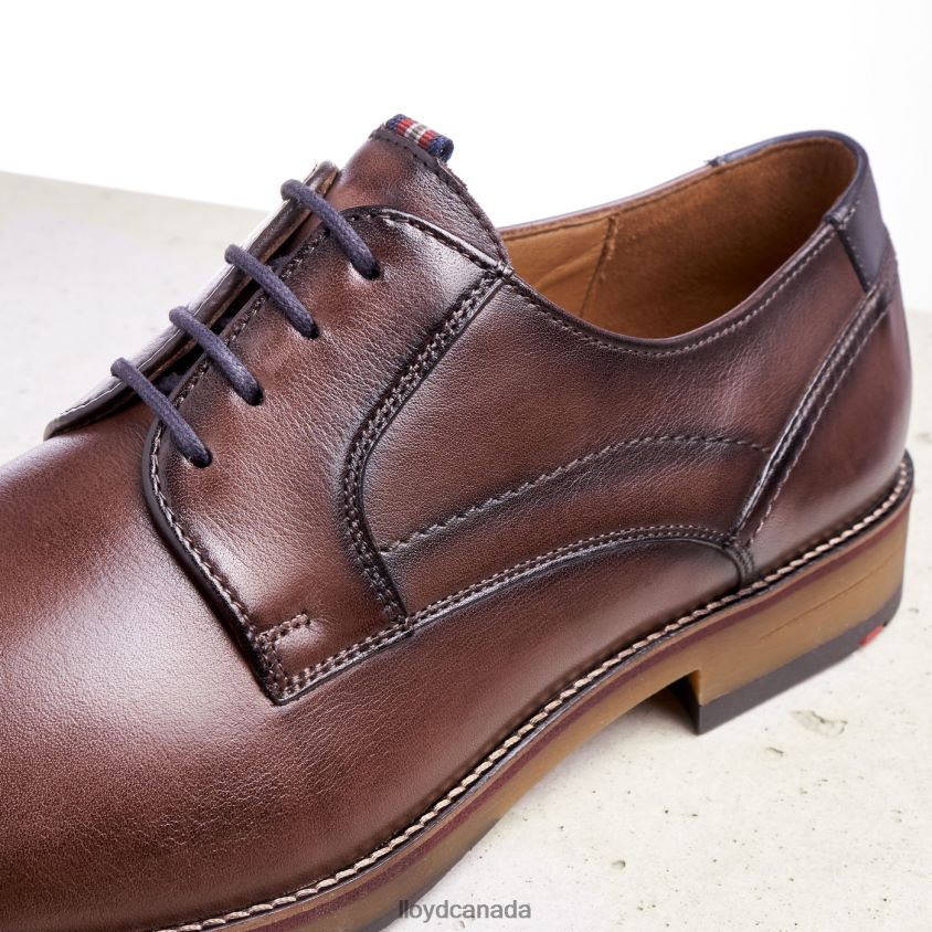 HARPER LLOYD Men brown R084ZF176 Shoes