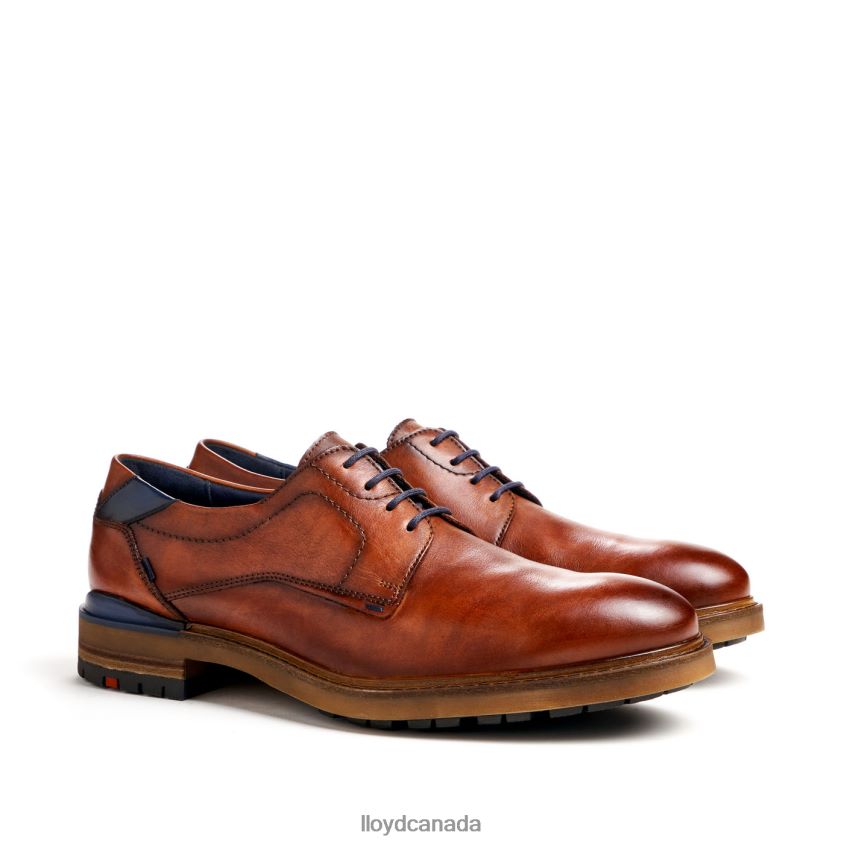 HELSINKI LLOYD Men brown R084ZF586 Shoes