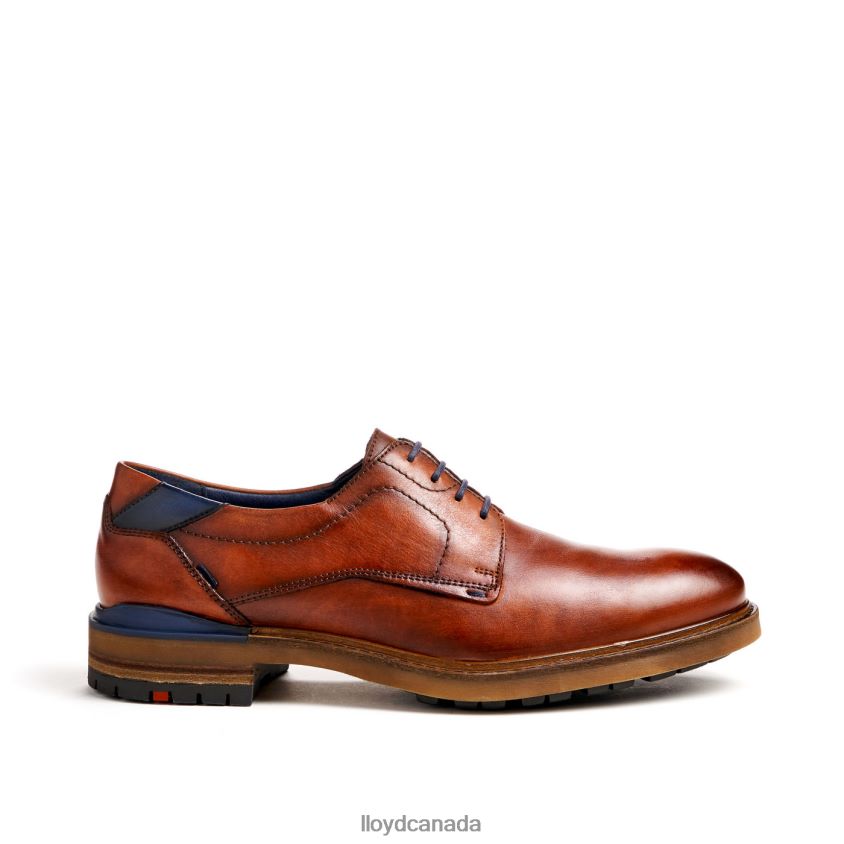 HELSINKI LLOYD Men brown R084ZF586 Shoes