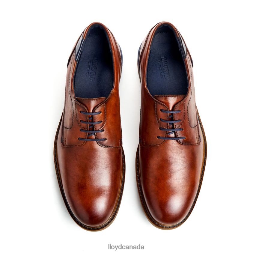 HELSINKI LLOYD Men brown R084ZF586 Shoes