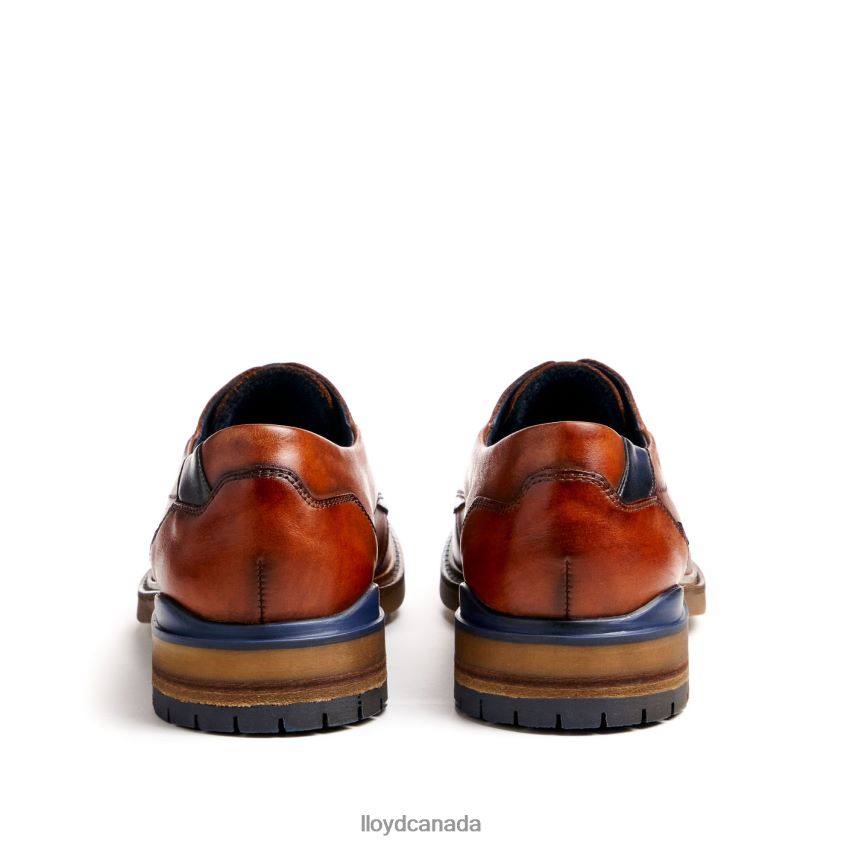 HELSINKI LLOYD Men brown R084ZF586 Shoes