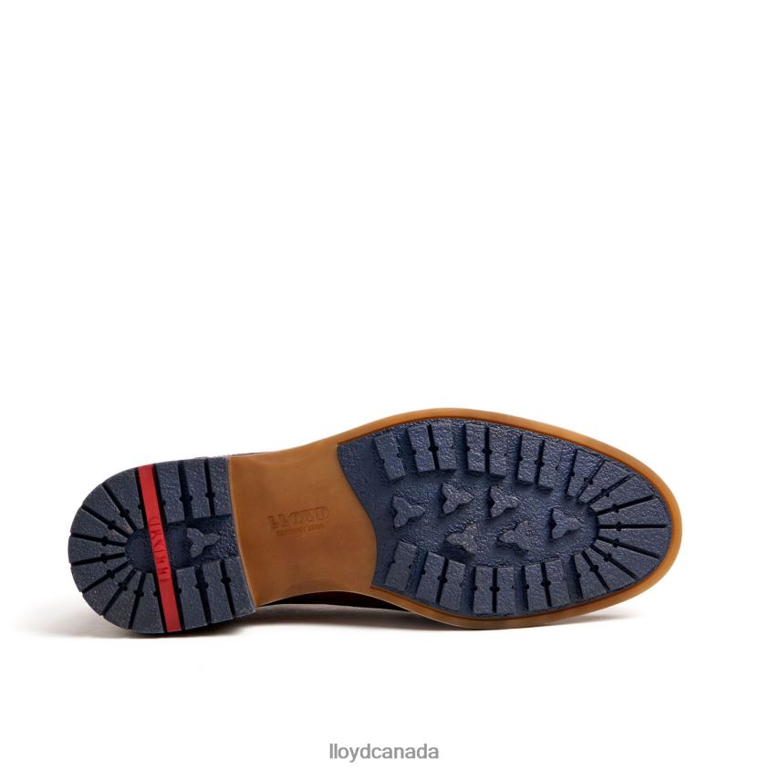 HELSINKI LLOYD Men brown R084ZF586 Shoes