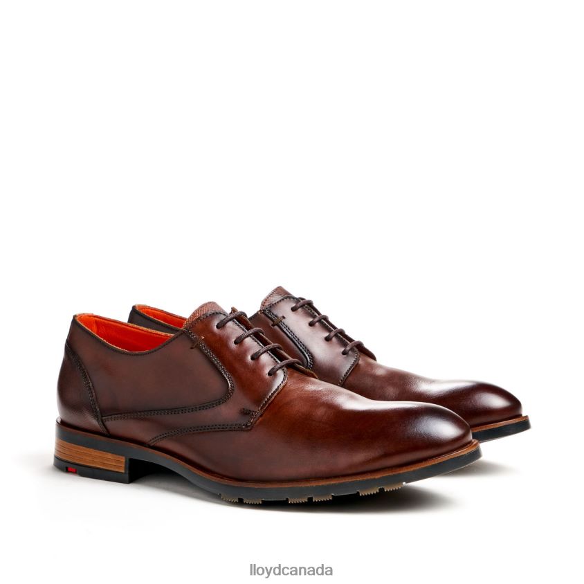 JACKSON LLOYD Men brown R084ZF46 Shoes