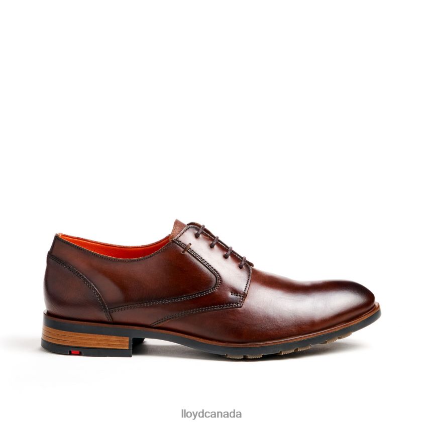 JACKSON LLOYD Men brown R084ZF46 Shoes