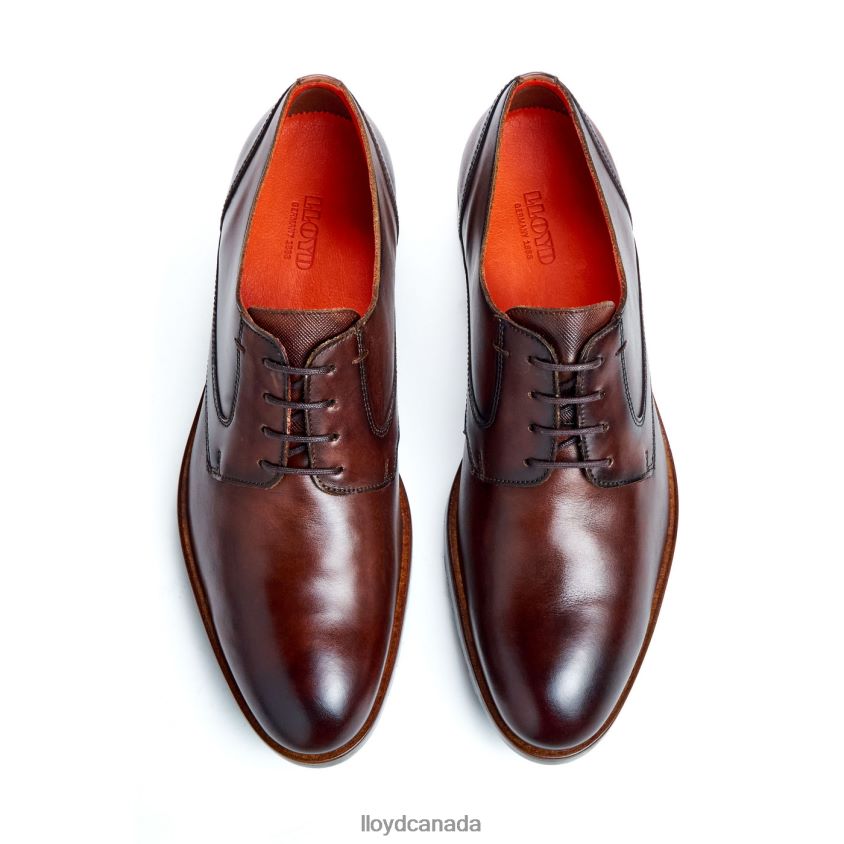 JACKSON LLOYD Men brown R084ZF46 Shoes