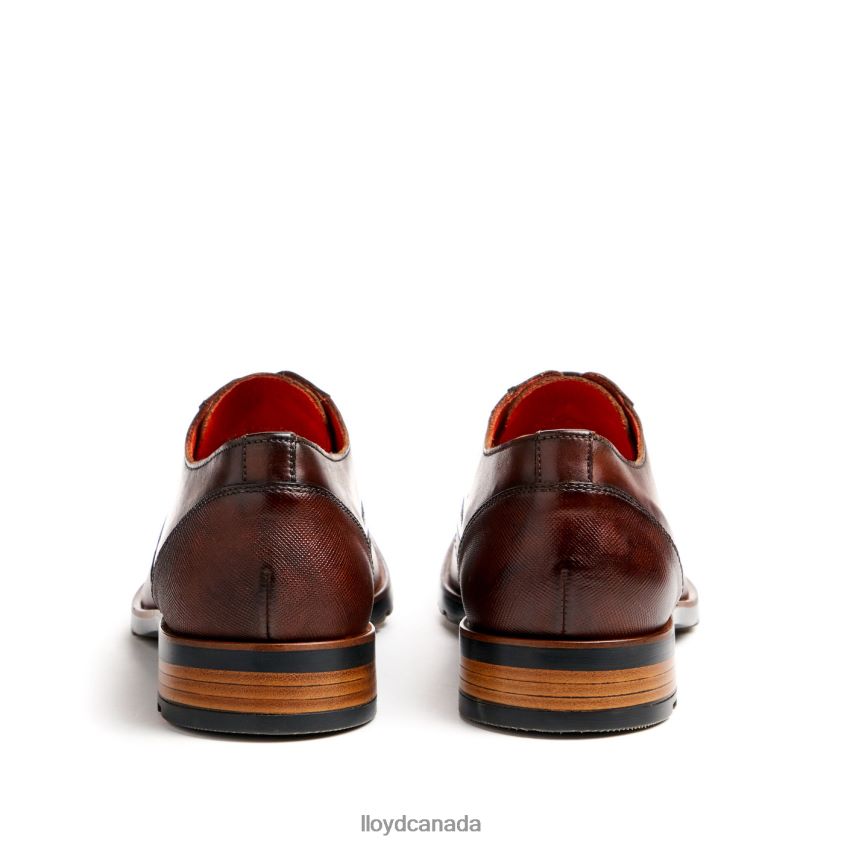 JACKSON LLOYD Men brown R084ZF46 Shoes