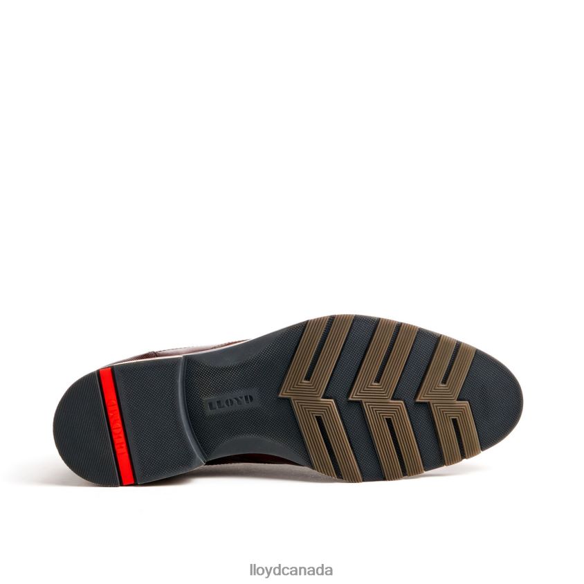 JACKSON LLOYD Men brown R084ZF46 Shoes