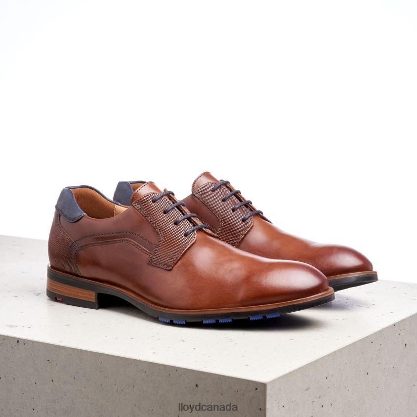 JAKE LLOYD Men brown R084ZF199 Shoes