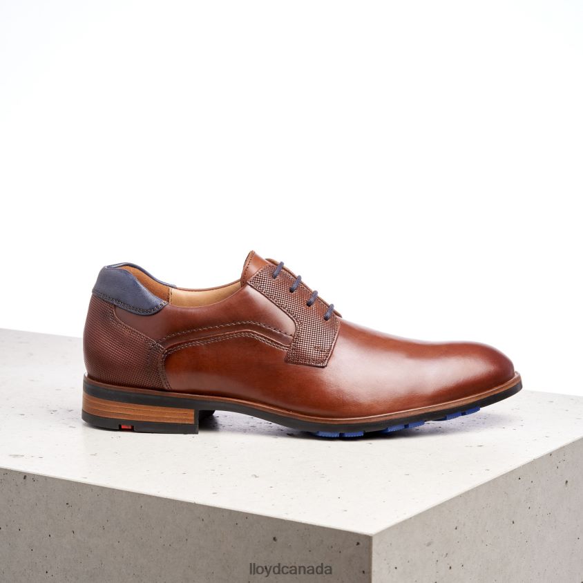 JAKE LLOYD Men brown R084ZF199 Shoes