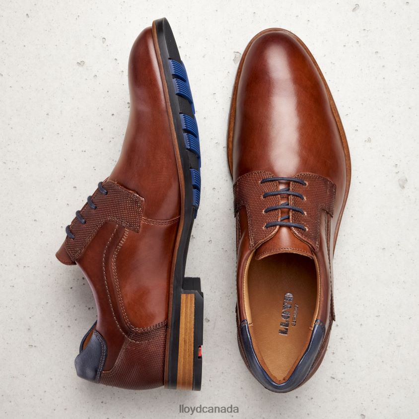 JAKE LLOYD Men brown R084ZF199 Shoes