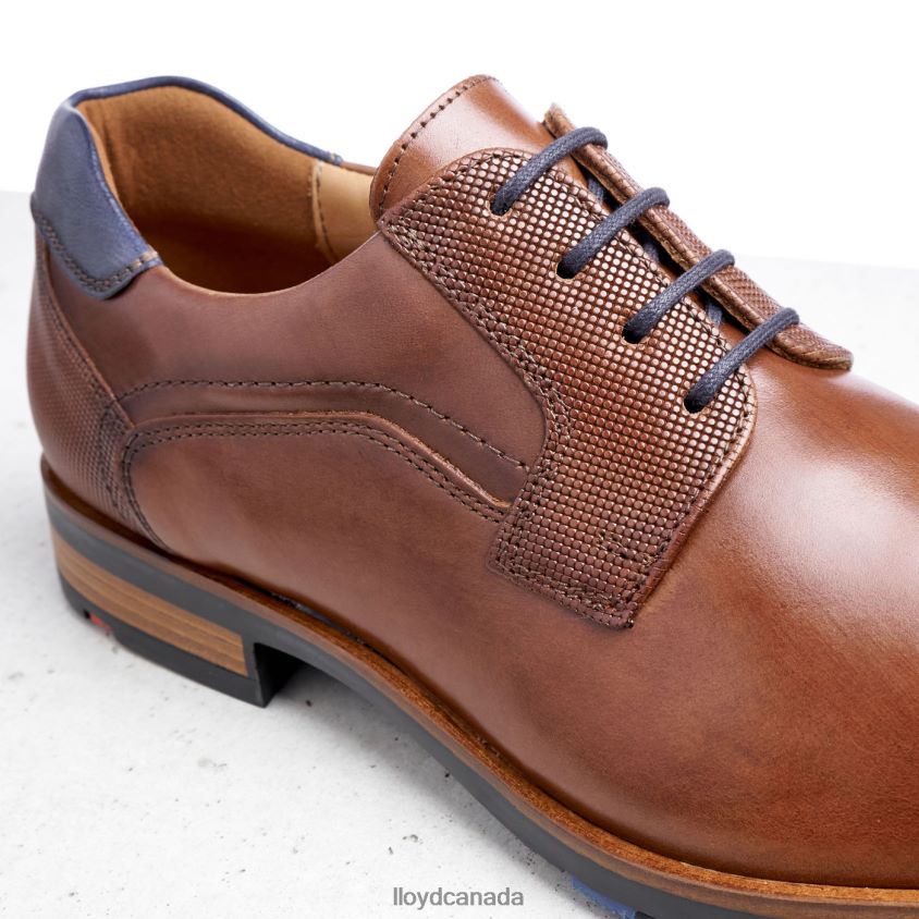 JAKE LLOYD Men brown R084ZF199 Shoes
