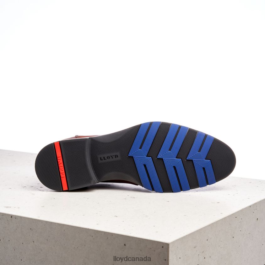 JAKE LLOYD Men brown R084ZF199 Shoes