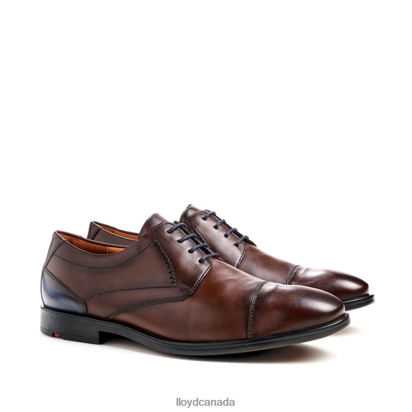 KAIN (XTRAWIDE) LLOYD Men brown R084ZF51 Shoes