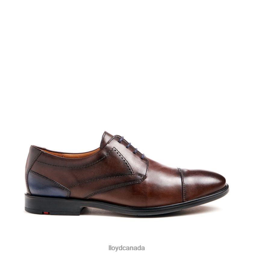 KAIN (XTRAWIDE) LLOYD Men brown R084ZF51 Shoes