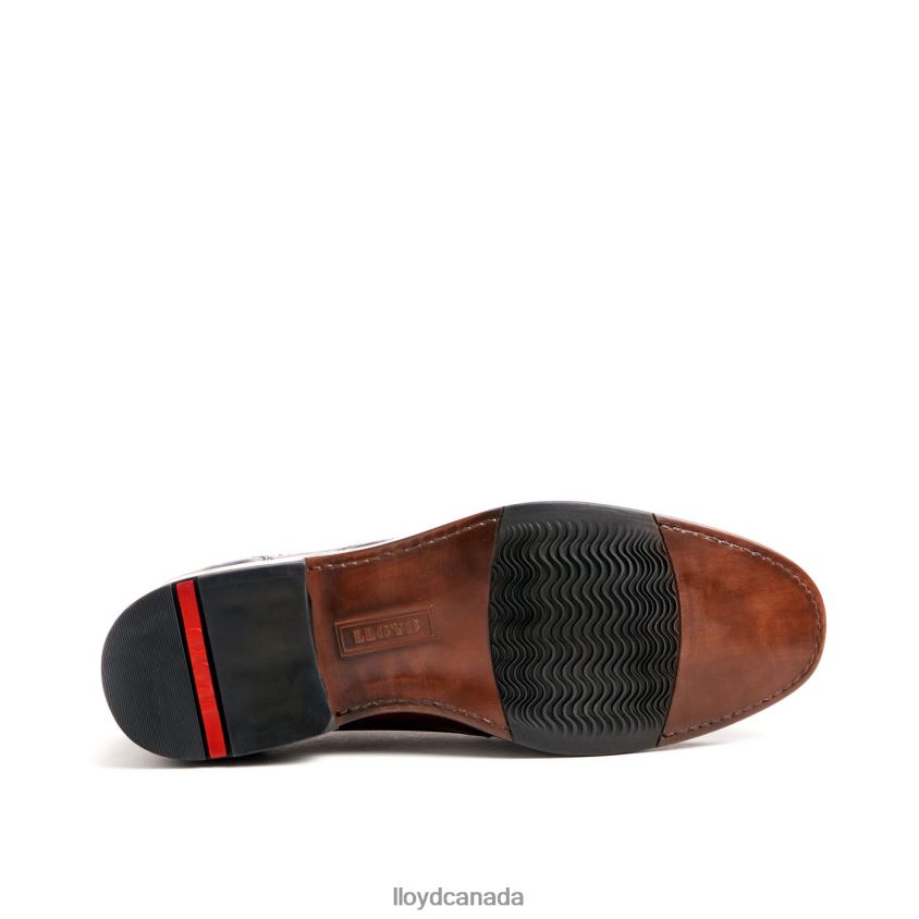 KAIN (XTRAWIDE) LLOYD Men brown R084ZF51 Shoes