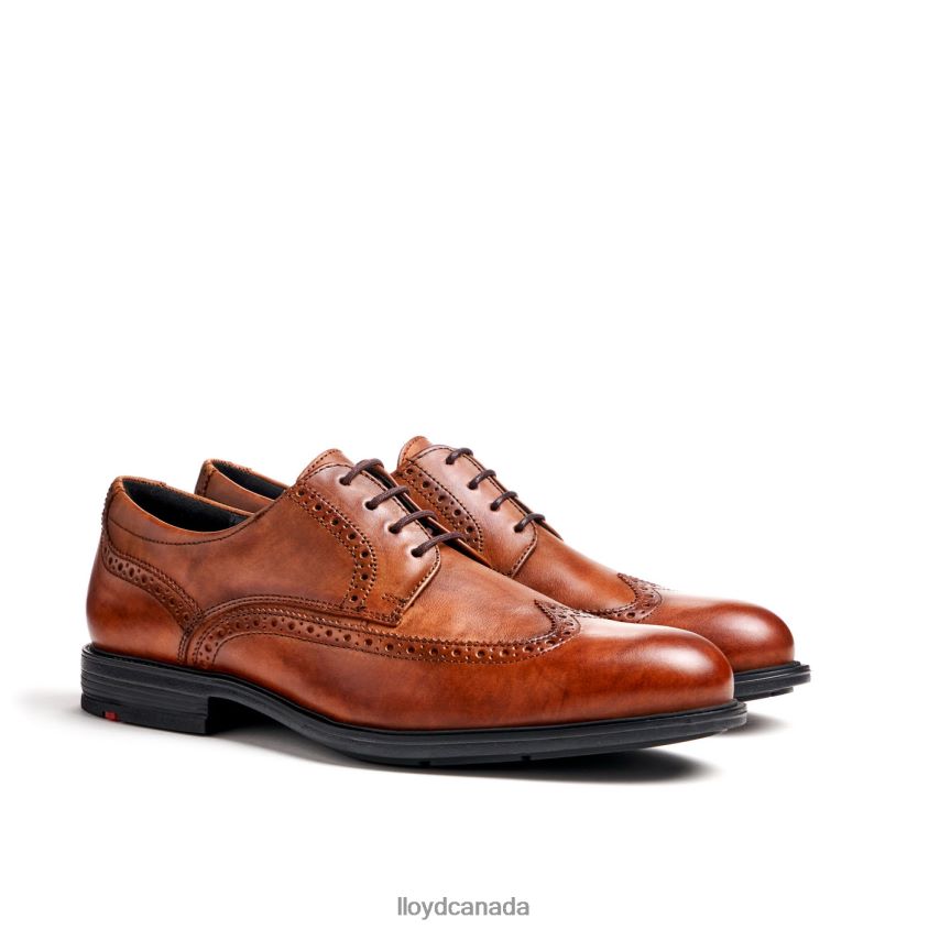 KALEB (XTRAWIDE) LLOYD Men brown R084ZF20 Shoes