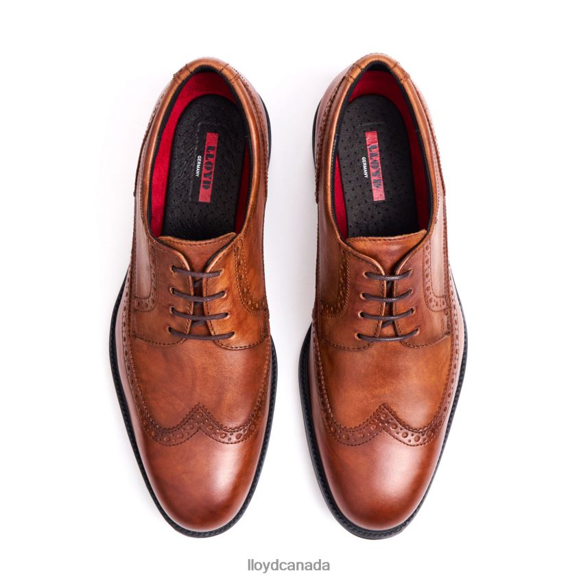 KALEB (XTRAWIDE) LLOYD Men brown R084ZF20 Shoes