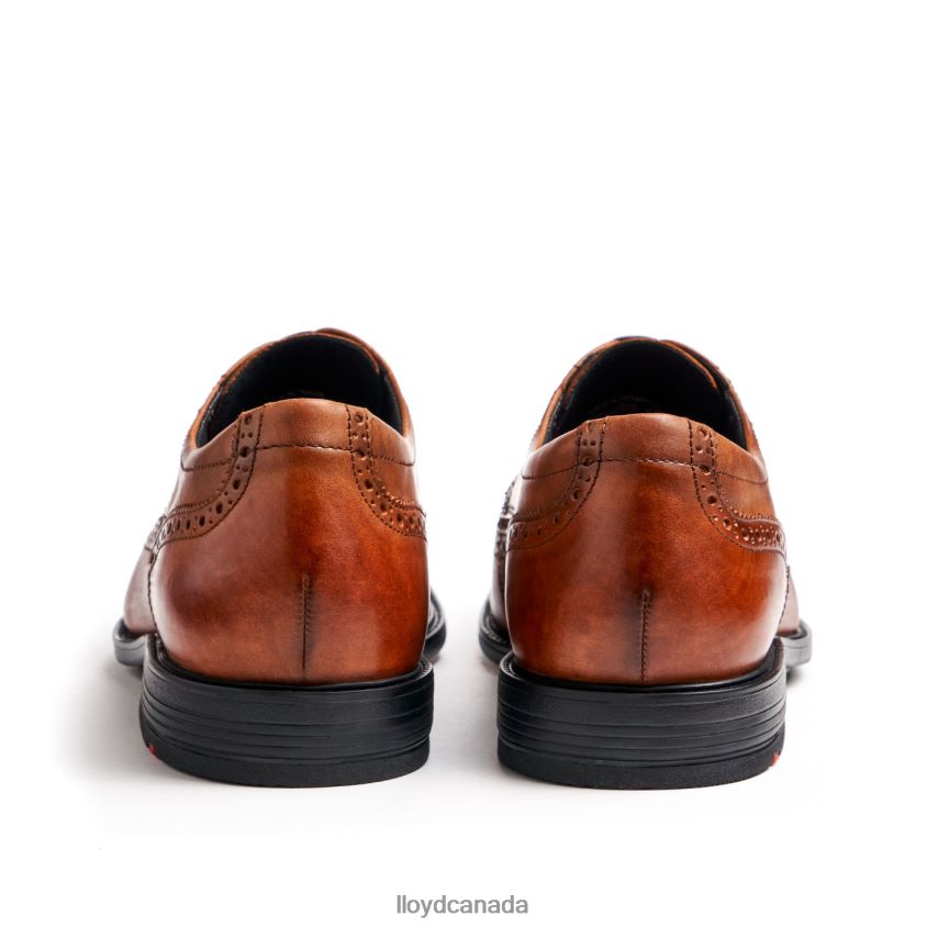 KALEB (XTRAWIDE) LLOYD Men brown R084ZF20 Shoes