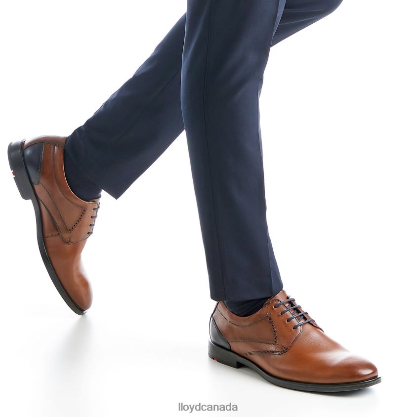 KALMAR (XTRAWIDE) LLOYD Men brown R084ZF94 Shoes