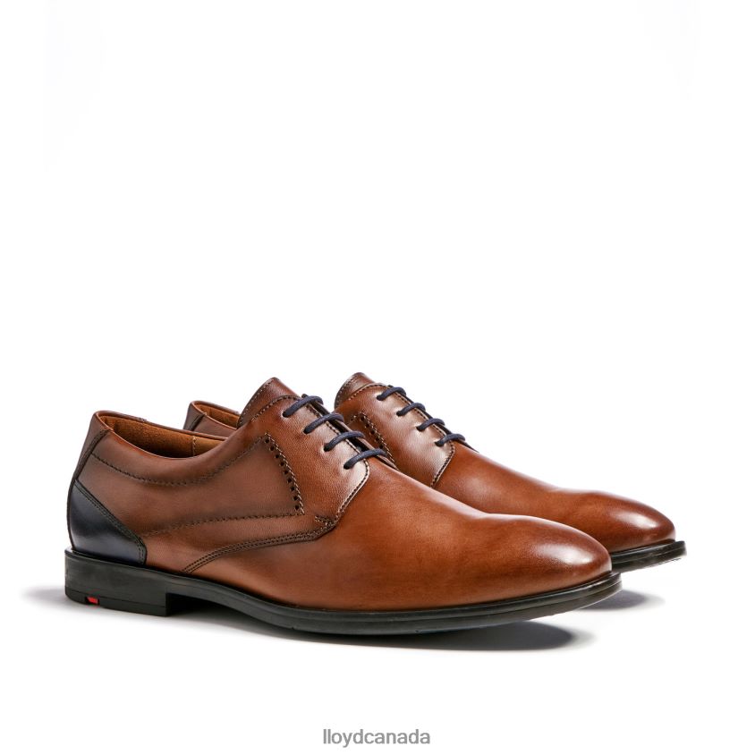 KALMAR (XTRAWIDE) LLOYD Men brown R084ZF94 Shoes
