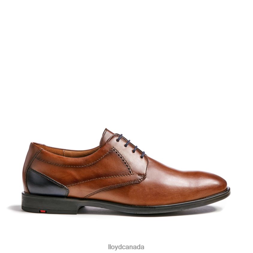 KALMAR (XTRAWIDE) LLOYD Men brown R084ZF94 Shoes