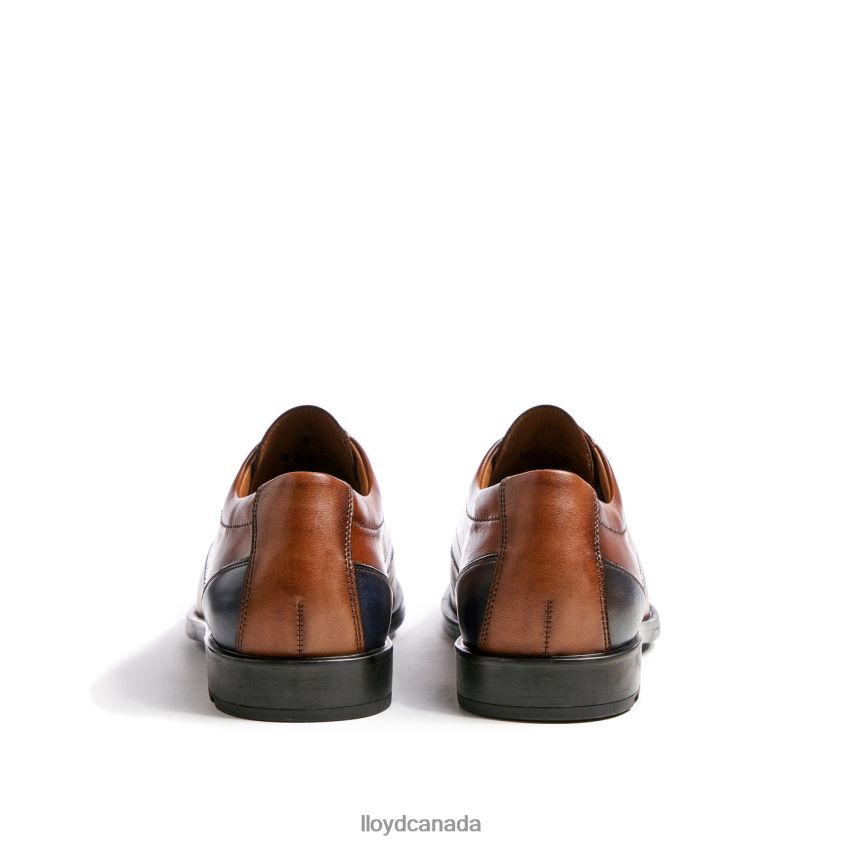 KALMAR (XTRAWIDE) LLOYD Men brown R084ZF94 Shoes
