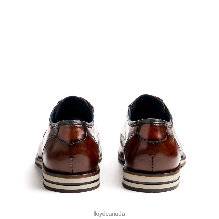 KAMP (XTRAWIDE) LLOYD Men brown R084ZF53 Shoes