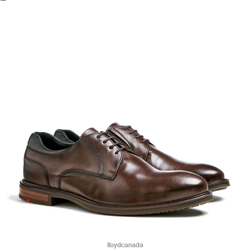KARON (XTRAWIDE) LLOYD Men brown R084ZF73 Shoes