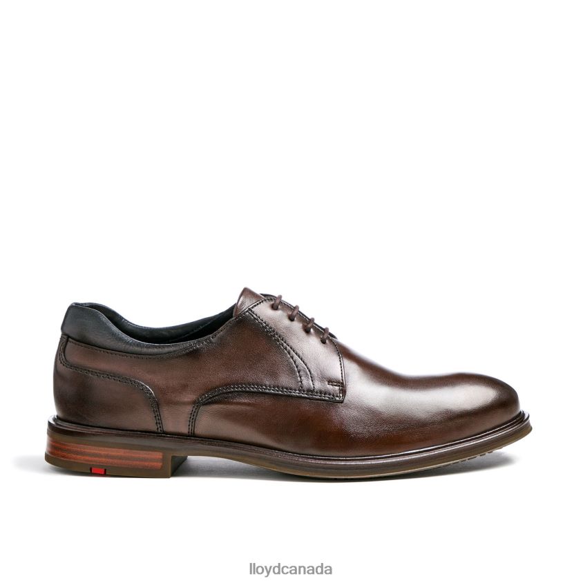KARON (XTRAWIDE) LLOYD Men brown R084ZF73 Shoes