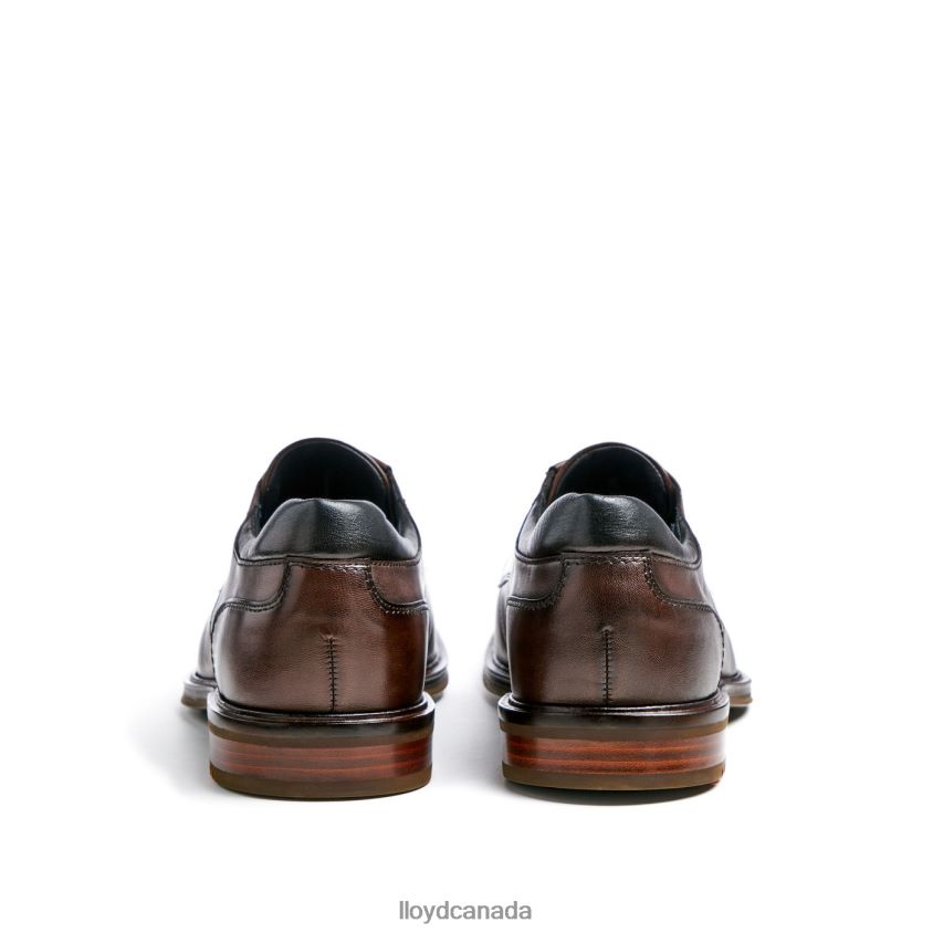 KARON (XTRAWIDE) LLOYD Men brown R084ZF73 Shoes